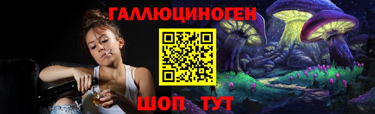 Псилоцибиновые грибы мицелий Новосибирск